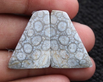 Natural Fossil Coral Fancy Shape Cabochon Matching Pair, Gemstone For Jewelry Making,, 25X18X4 mm( Free Drilling Available )