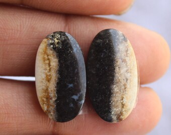 Natural Palm Root Gemstone Oval Shape Cabochon Pair For Jewelry Making,,23X12X3mm