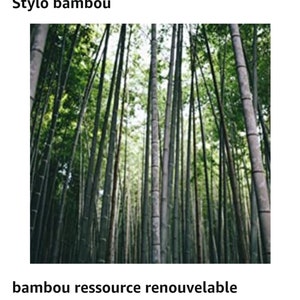 Stylos prénoms personnalisés/ensemble stylo/stylet/porte-mine en bambou image 10