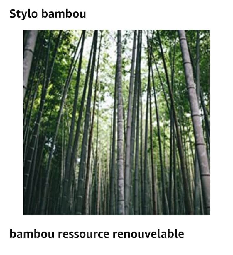 Stylos prénoms personnalisés/ensemble stylo/stylet/porte-mine en bambou image 10