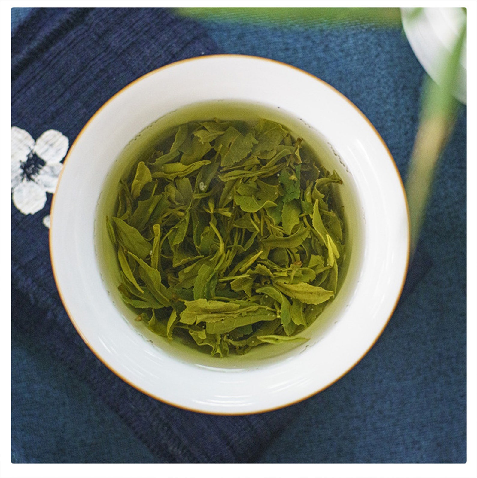 Maojian Tea Maojian Green Teateagreen Teateasgreen - Etsy UK