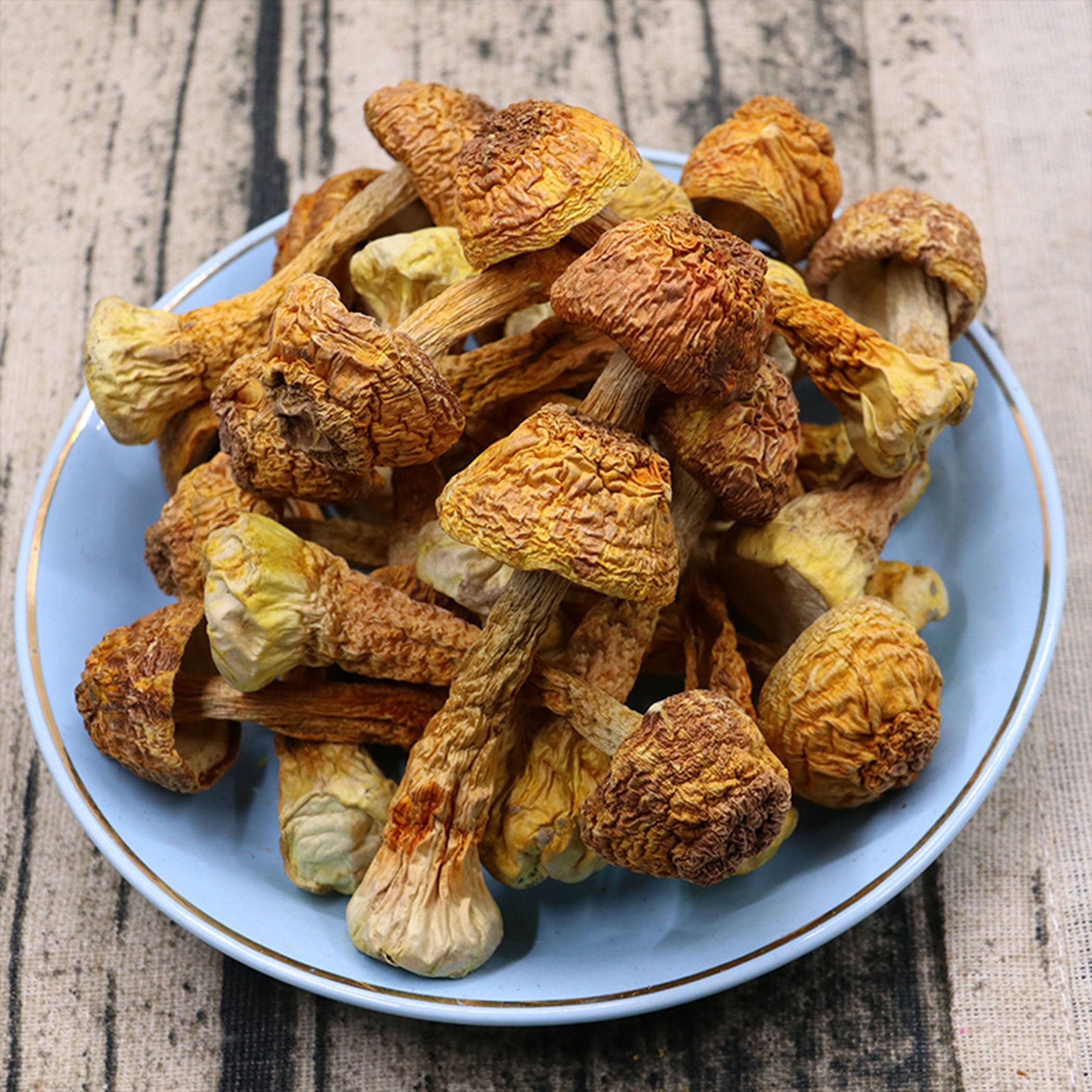 Dry matsutake mushroomsdried matsutake mushrooms brothflower Etsy