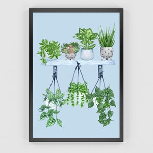Houseplants Wall Art, Plant Illustration, Houseplants Shelf Collection, Maximalist Wall Decor, DIGITAL DOWNLOAD, Botanical Print, Unframed image 3