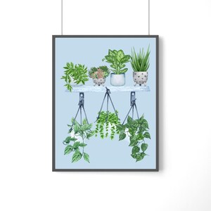 Houseplants Wall Art, Plant Illustration, Houseplants Shelf Collection, Maximalist Wall Decor, DIGITAL DOWNLOAD, Botanical Print, Unframed image 4