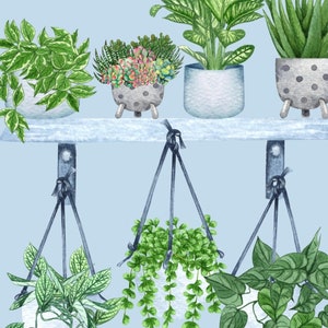 Houseplants Wall Art, Plant Illustration, Houseplants Shelf Collection, Maximalist Wall Decor, DIGITAL DOWNLOAD, Botanical Print, Unframed image 2