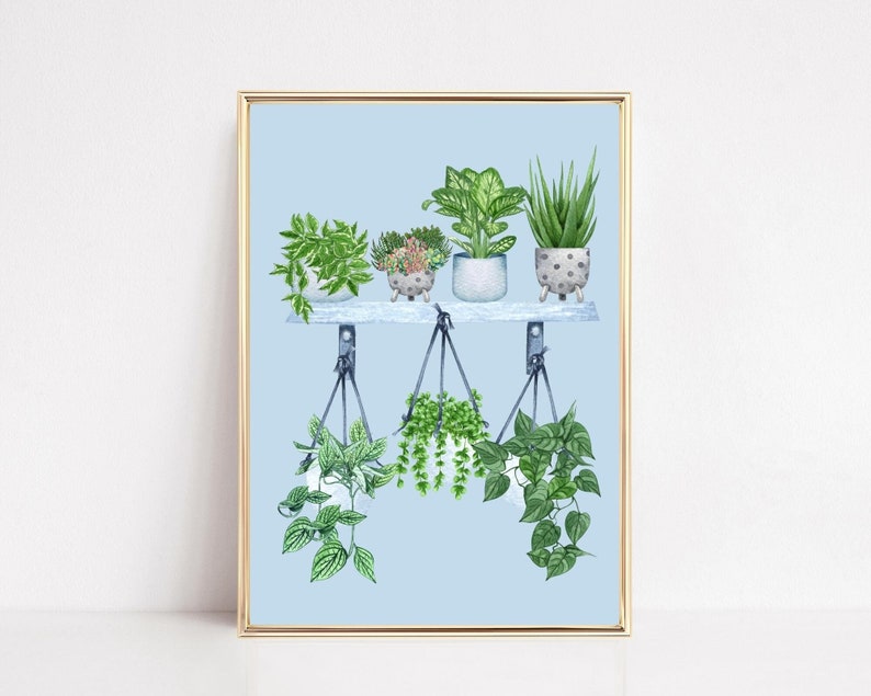 Houseplants Wall Art, Plant Illustration, Houseplants Shelf Collection, Maximalist Wall Decor, DIGITAL DOWNLOAD, Botanical Print, Unframed image 1