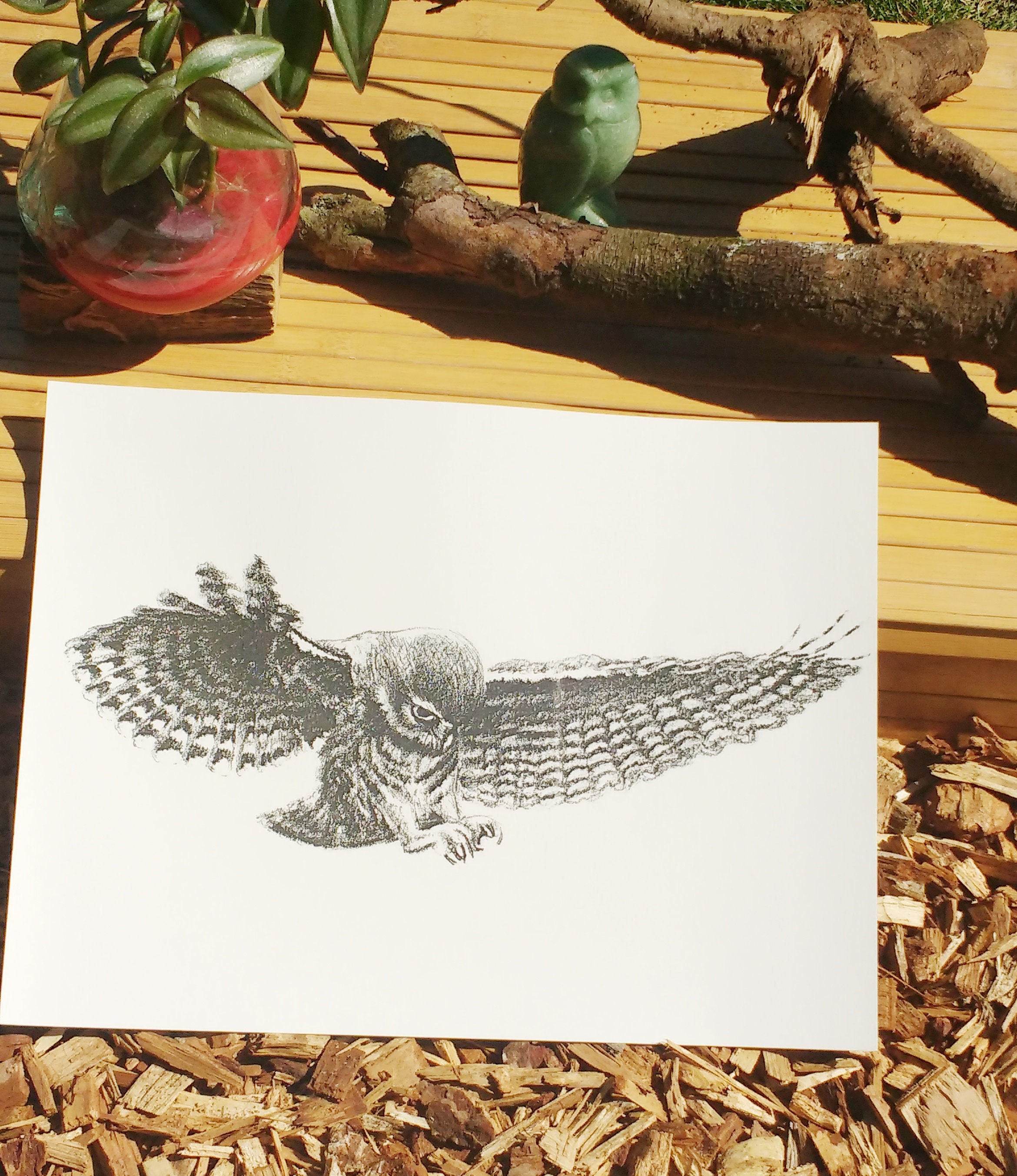 Illustration Imprimée Décorative La Chouette.