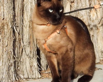 Handmade Leather Cat Harness and Leash: Escape-Proof Design