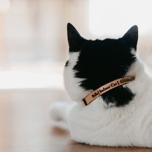 Leather Breakaway Cat Collar | Custom Engraved | stylish cat accessory, lightweight, quiet, no tags needed.  Handmade in the USA