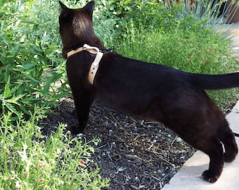 Arnés de cuero artesanal para gatitos: a prueba de escapes y sin riesgo de asfixia.