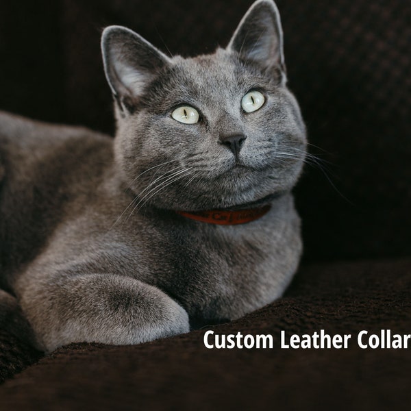 Personalisiertes Lederhalsband für Hunde - Zaumleder, graviert mit Ihrem Text, leicht, komfortabel und sicher. Tolles Geschenk für Tierliebhaber