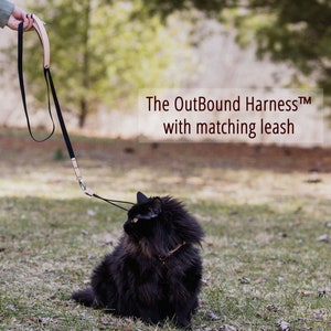 The OutBound Leather Cat Harness™ & Leash.  Escape Proof, Ergonomic and Lightweight