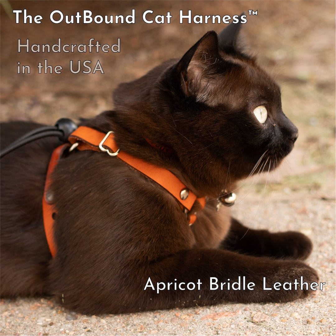 Luxury Leather Cat Harness Escape Proof in Apricot Lightweight