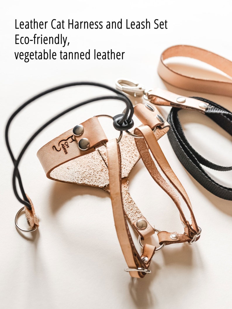 leather cat harness