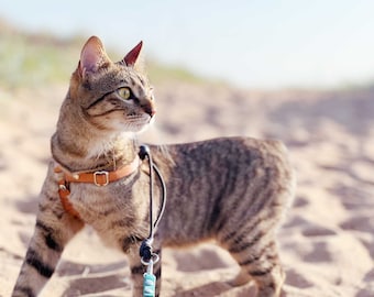 Arnés de cuero a prueba de escapes para gatos: seguro, ligero y elegante.