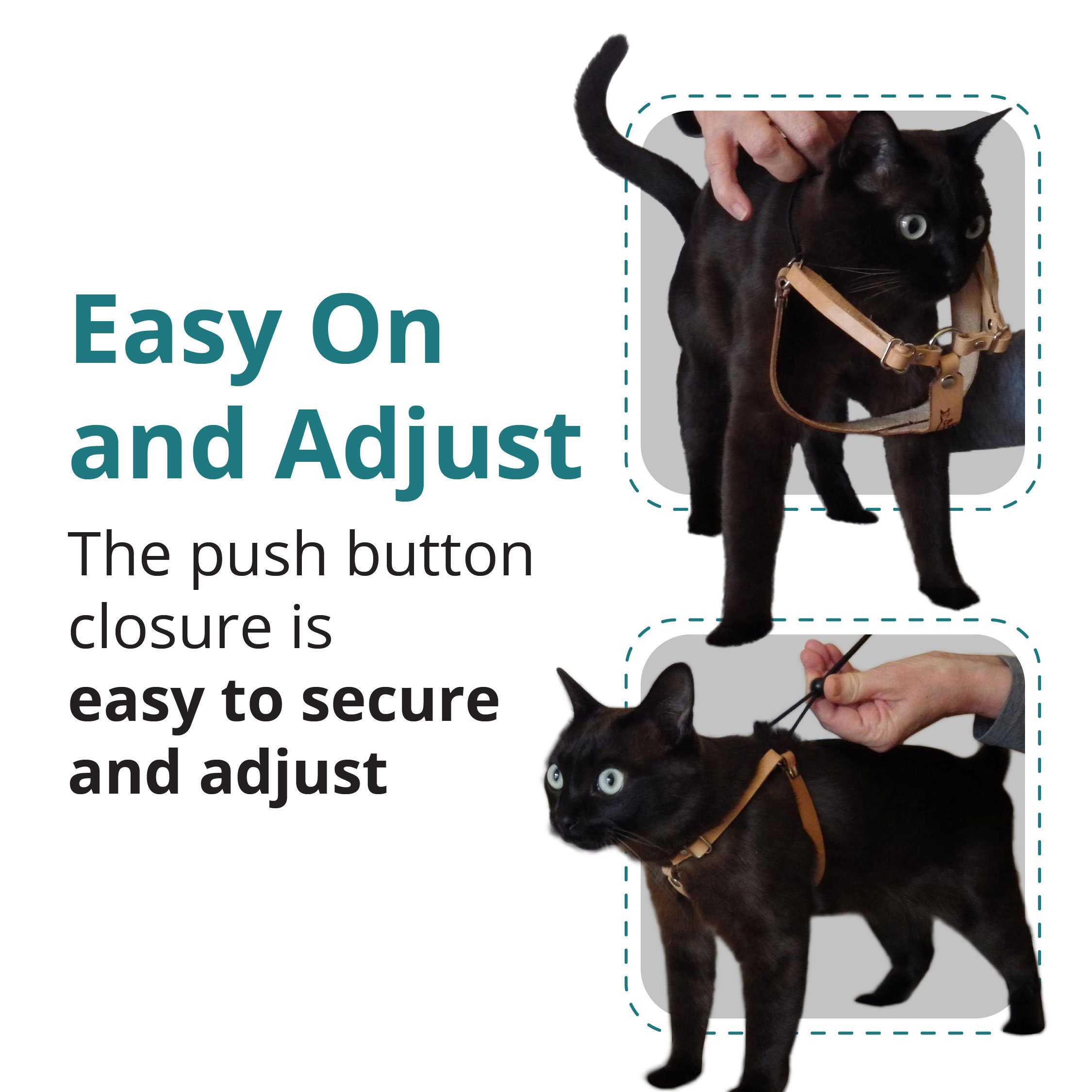 Cool top cat harness