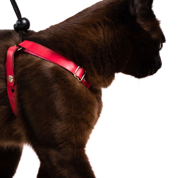 Cat & Kitten Harness - Raspberry Bridle Leather - Escape Proof, easy to put on, lightweight, comfortable custom fit for ANY cat