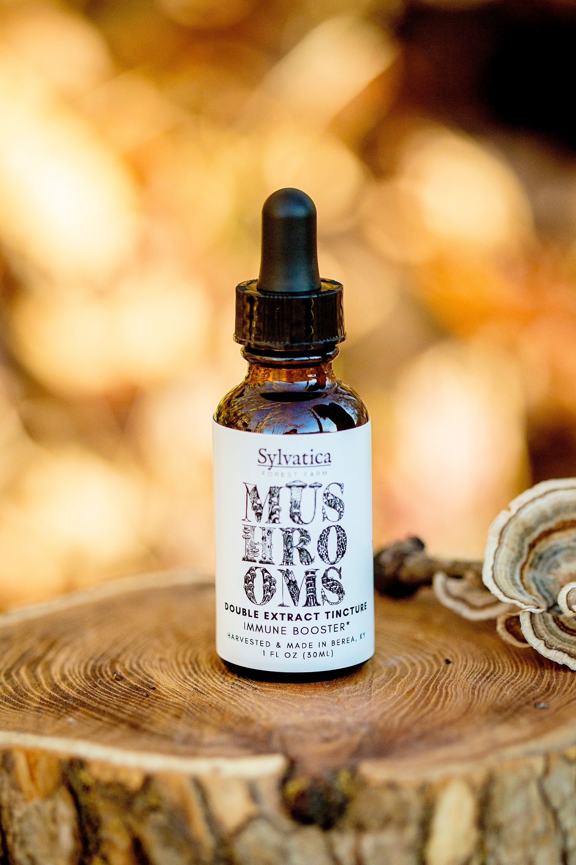 Mushroom tincture medicinal mushrooms Herbal extract Etsy