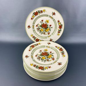 Set of 10 Villeroy & Boch ‘Summerday’ 8.5” Salad Plate Made in Germany. Near MINT CONDITION.