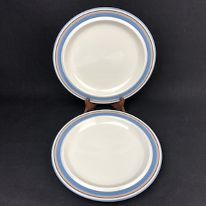 Pair of Arabia Finland 9.5” 1980s  Vintage Luncheon Plates. Near MINT CONDITION.