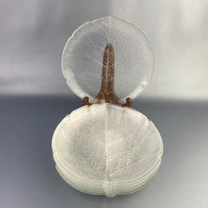 Set of 8 Arcoroc Aspen 7.75” Salad / Side Glass Plates. EXCELLENT MINT  Condition. Made in France.