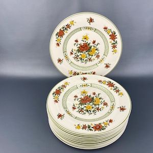 Set of 11 Villeroy & Boch ‘Summerday’ 8.5” Salad Plates Made in Germany. Near MINT CONDITION.