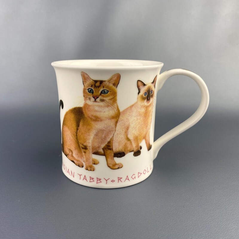 TAZA CUMBRAE CATS BREEDS 0,45 L. DUNOON - Thè Legend | Sabores de