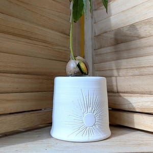 May include: A white ceramic planter with a sunburst design. The planter holds a sprouting avocado seed with green leaves. The planter is on a wooden surface, creating a natural and minimalist aesthetic.