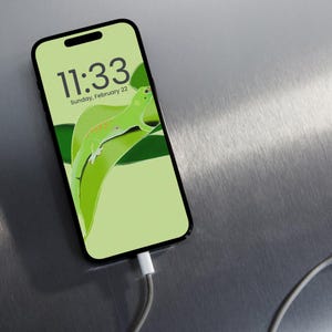 May include: A black smartphone displaying a light green wallpaper with a gecko on a leaf. The time 11:33 and the date Sunday, February 22 are visible. A white charging cable is plugged into the phone.