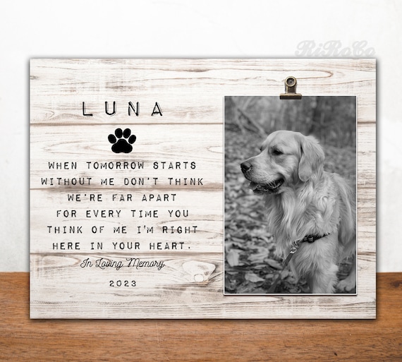 14 best personalized pet gifts in 2023