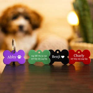 May include: Four bone-shaped dog tags in purple, green, black, and red. Each tag has a name and a phone number. The purple tag says "Abby" and has a paw print. The black tag says "Benji" with a heart symbol. The tags are for pets.