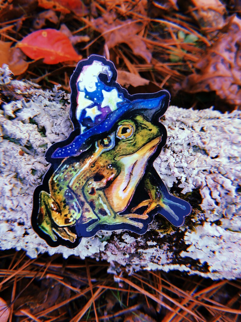 Holographic Frog Wizard Vinyl Sticker - Etsy