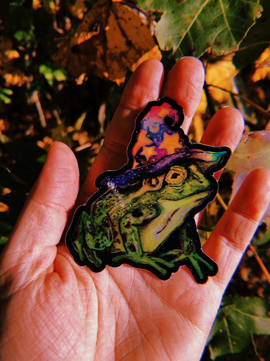 Holographic Frog Wizard Vinyl Sticker - Etsy