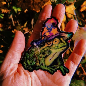 Holographic Frog Wizard Vinyl Sticker