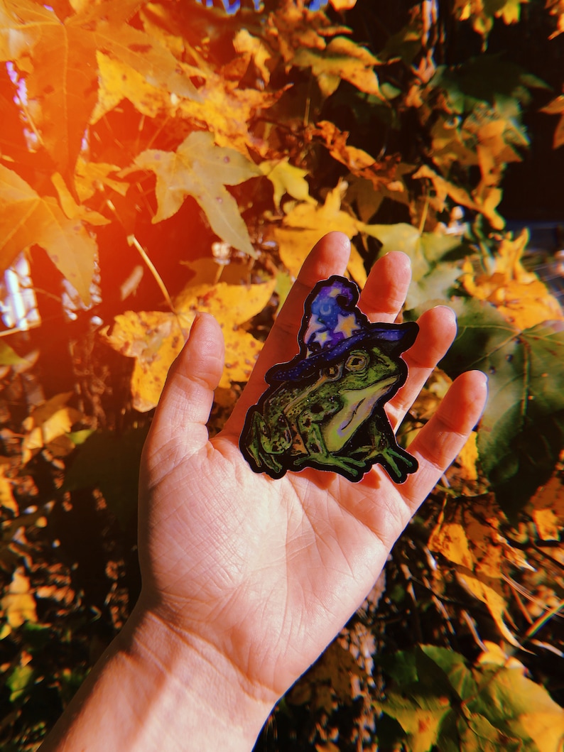 Holographic Frog Wizard Vinyl Sticker - Etsy