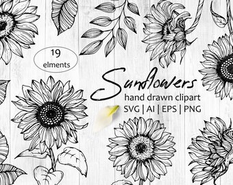 Free Free 216 Outline Simple Sunflower Clipart SVG PNG EPS DXF File