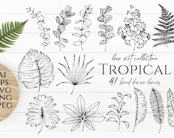 Hojas tropicales SVG, Eucalipto SVG PNG, Helecho imprimible, Eucalipto, Flores Doodle, Clip Art Botánico, Trópico, Line Art svg, diy