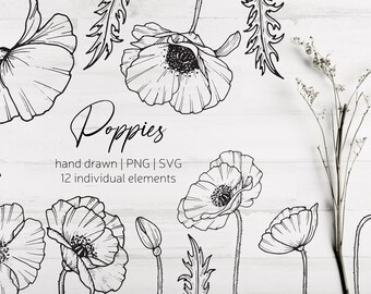 Free Free 331 Poppy Flower Outline Svg SVG PNG EPS DXF File