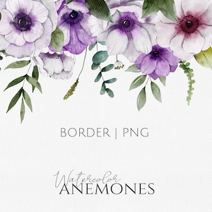 Bordure avec fleurs anémones png, aquarelle bordure florale png, fond floral, composition aquarelle roses, bouquet de fleurs violettes