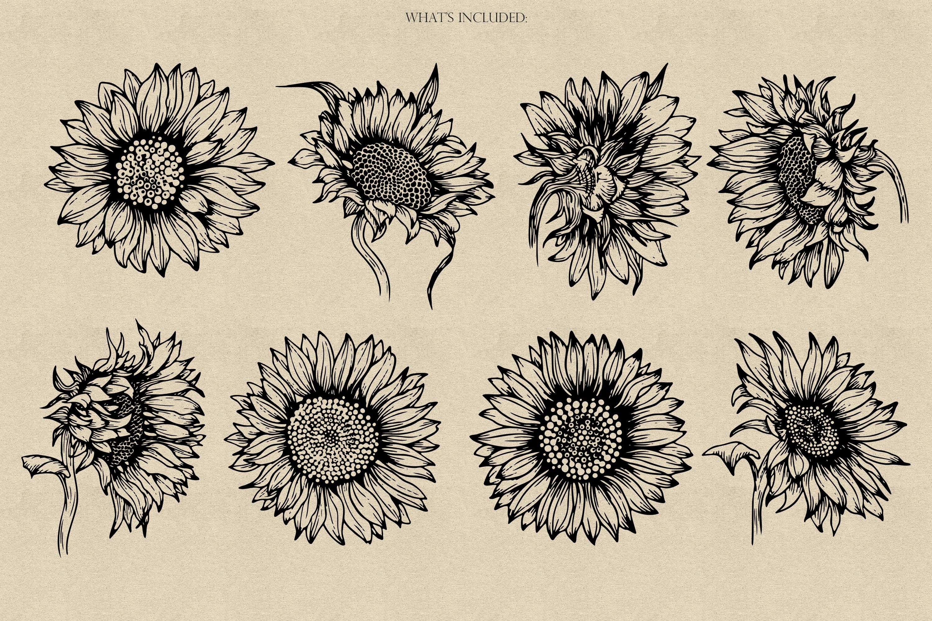 Sunflowers Procreate Stamps, Sunflowers Brushes Procreate, Flower ...