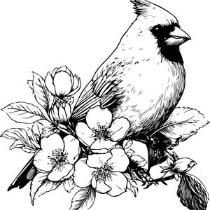 Puede incluir: Ilustraci&oacute;n en blanco y negro de un cardenal posado en una rama florecida. El ave tiene un plumaje detallado y una cresta prominente. Las flores est&aacute;n en plena floraci&oacute;n, con p&eacute;talos y hojas detallados.