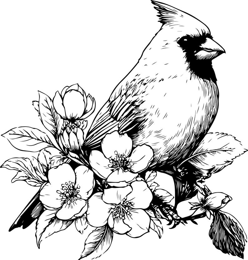 Puede incluir: Ilustraci&oacute;n en blanco y negro de un cardenal posado en una rama florecida. El ave tiene un plumaje detallado y una cresta prominente. Las flores est&aacute;n en plena floraci&oacute;n, con p&eacute;talos y hojas detallados.