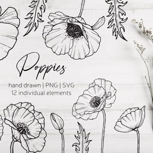 Fleurs SVG, Fleurs de pavot dessinées à la main PNG, Fleurs imprimables, fleurs de griffonnage, Fleurs Clip Art, Poppies SVG, Line Drawing svg, diy