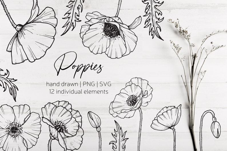Free Free 54 Flower Line Drawing Svg SVG PNG EPS DXF File