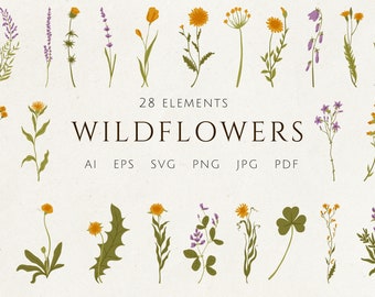 Wildflowers SVG, wildflower SVG Bundle, Floral SVG, Vector flowers, Botanical vector clipart, flowers svg,  floral clipart