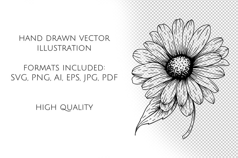 May include: A black and white line drawing of a daisy with a single leaf. The daisy has a large center and many petals.