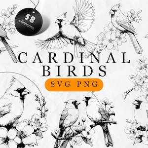 May include: Black and white illustrations of cardinal birds in various poses, perched on branches with flowers. The image includes the text "CARDINAL BIRDS" and "SVG PNG", along with a tag that says "58 elements".