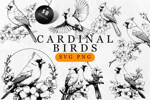 Bird SVG - Cardinal bird Line Art SVG Bundle - Botanical Line Art - Minimalist Floral Clipart - Birds Outline Illustrations