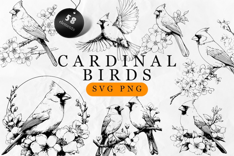 Puede incluir: Ilustraciones en blanco y negro de aves cardenales en varias poses, posadas en ramas con flores. La imagen incluye el texto "CARDINAL BIRDS" y "SVG PNG", junto con una etiqueta que dice "58 elementos".