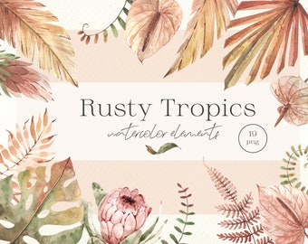 Watercolor Tropical Leaves and Flowers. Digital Clip Art. Individual PNG. Modern exotic floral elements. Jungle. Pastel colors. Monstera